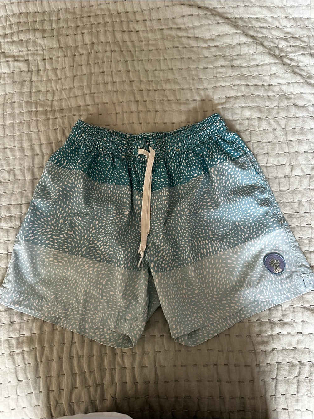 chubbies Teal & Light Teal Patterned Swim Trunks